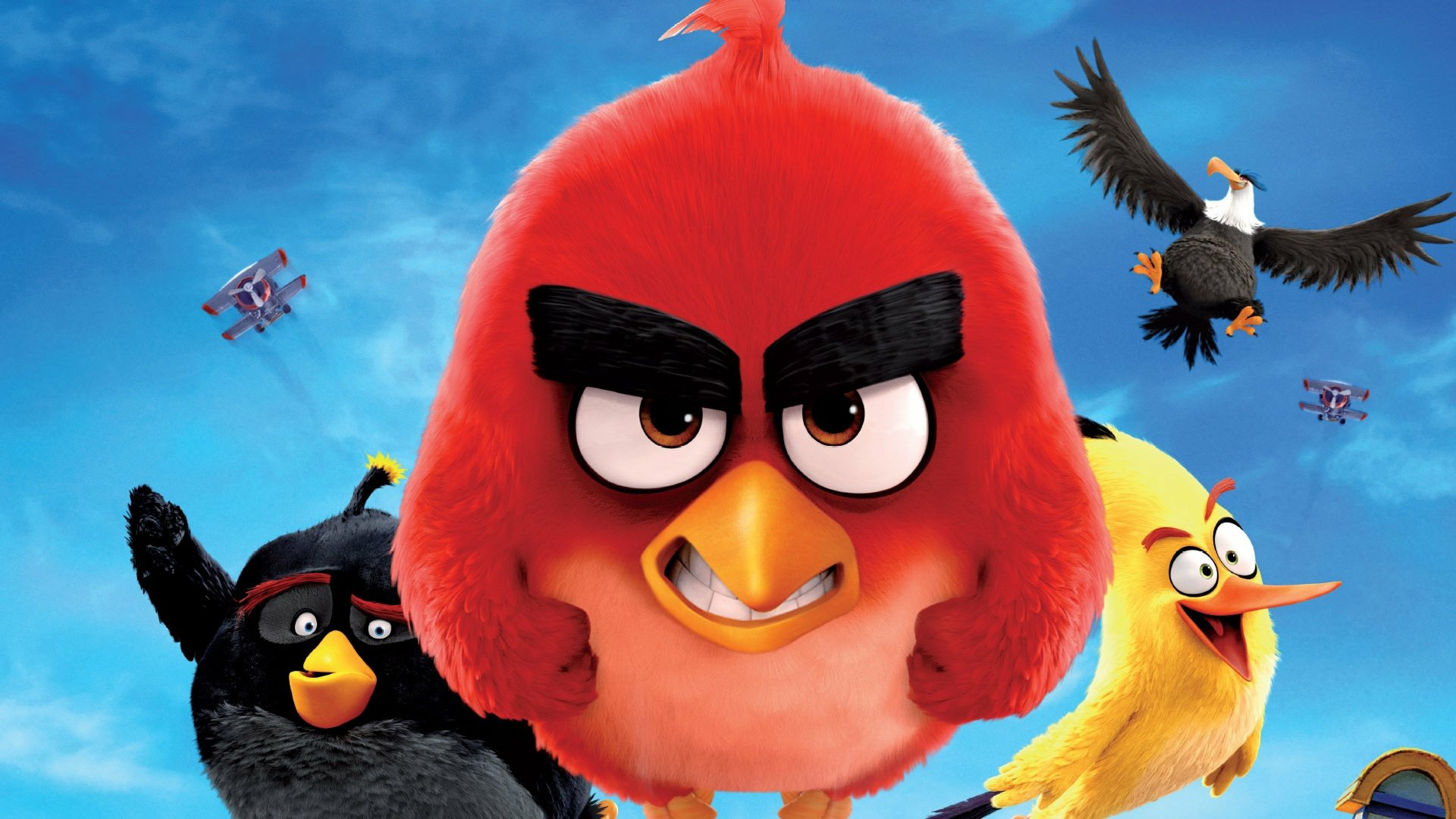 Papéis de Parede The Angry Birds Movie